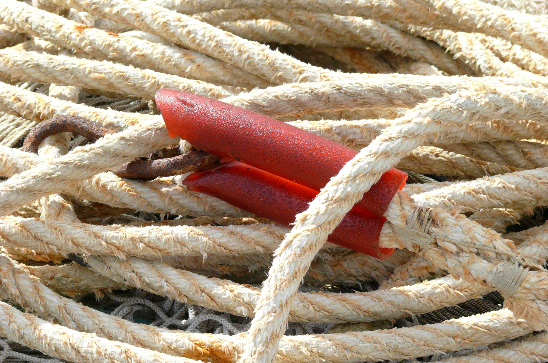 Protect Your Prop And Boost Performance With Spurs Line Cutters - Hull2Prop